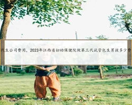 江西代生公司费用，2023年江西省妇幼保健院做第三代试管包生男孩多少费用？
